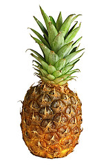 Image showing frontal pineapple image