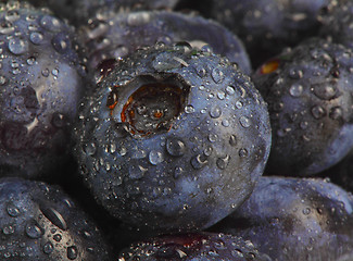 Image showing wet blueberry datail