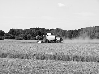 Image showing Harvest