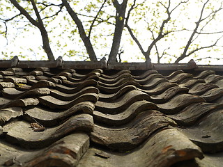 Image showing roof tiles