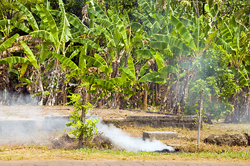 Image showing garbage burning jungle Corn Island Nicaragua