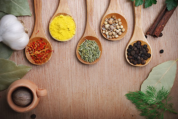 Image showing Spices