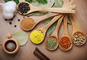 Image showing Spices