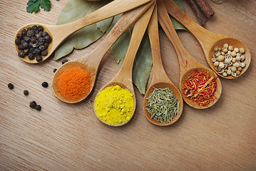 Image showing Spices