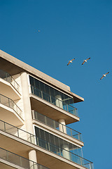 Image showing Beach apartments