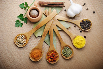 Image showing Spices