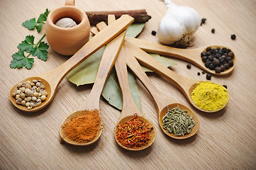 Image showing Spices