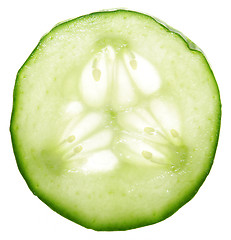 Image showing CUCUMBER