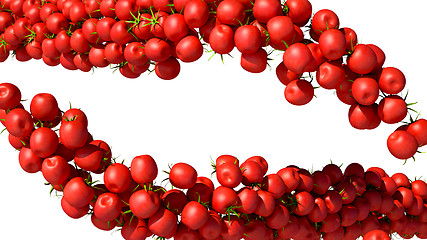 Image showing Two Tomatoes Cherry flows isolated