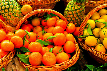 Image showing Tangerine basket