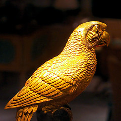 Image showing Golden parrot