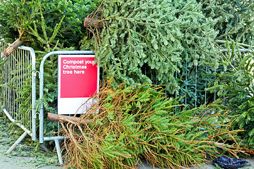 Image showing Composting Christmas tree