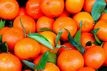 Image showing Tangerine with leaves
