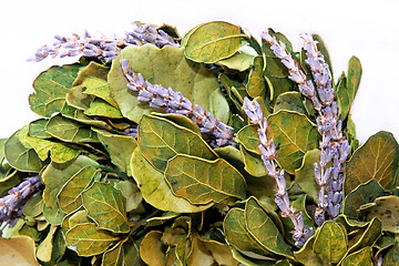 Image showing Lavender wreath