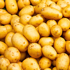 Image showing Potato pattern