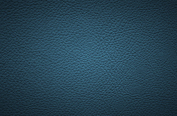 Image showing leather