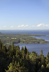 Image showing Koli