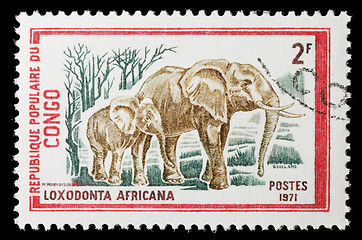 Image showing Elephant stamp