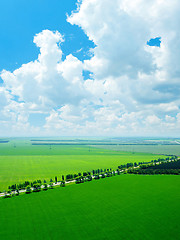 Image showing Green field.