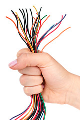 Image showing Bunch of different colored wires gripped in fist