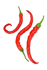 Image showing Three red hot chili peppers