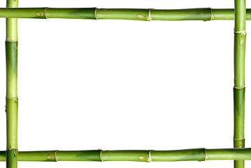 Image showing Green bamboo stick frame