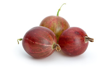 Image showing Macro shot of three red gooseberries