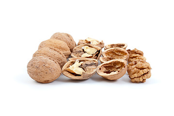 Image showing Walnuts (whole and cracked), nutshells and kernels