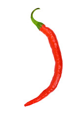 Image showing Single red hot chili pepper