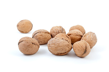 Image showing Few walnuts