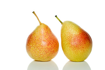 Image showing Pair of spotty yellow-red pears