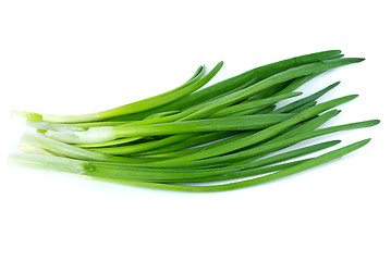 Image showing Some spring onion