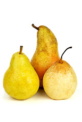 Image showing Three pears of different breads