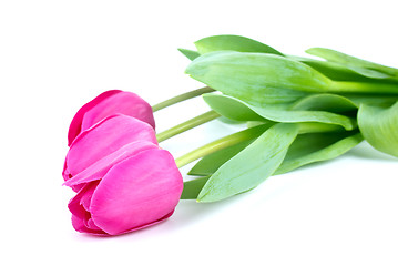 Image showing Bunch of pink tulips