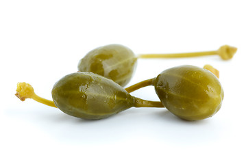 Image showing Macro shot of three capers fruits