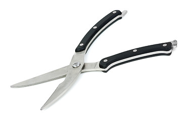 Image showing Opened poultry scissors