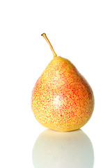 Image showing Single spotty yellow-red pear