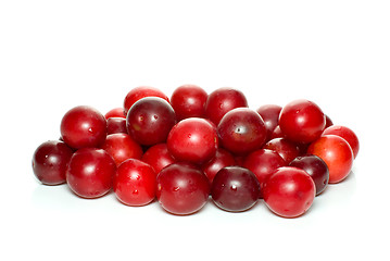 Image showing Pile of red cherry plums
