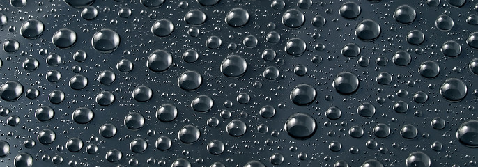 Image showing Black drops.