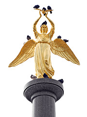 Image showing Gold angel and pigeones.