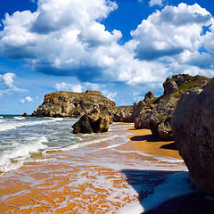 Image showing Wild seashore.