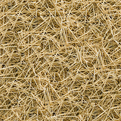 Image showing Hay seamless background.