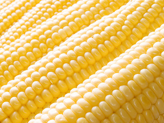 Image showing Corn.