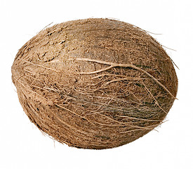 Image showing Coconut.