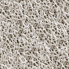 Image showing Sponge seamless background.