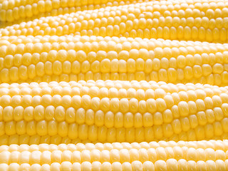 Image showing Corn.