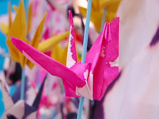 Image showing Pink origami