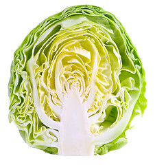 Image showing Cabbage.