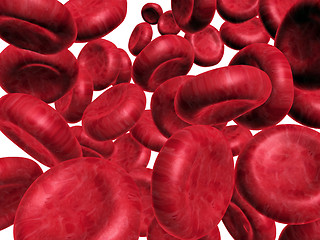 Image showing Blood cells.