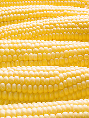 Image showing Corn.
